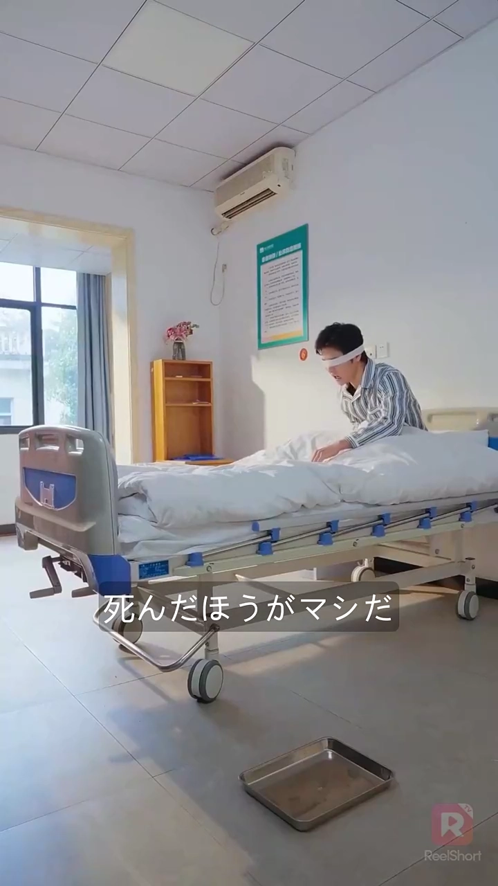 君こそが、運命の人写真