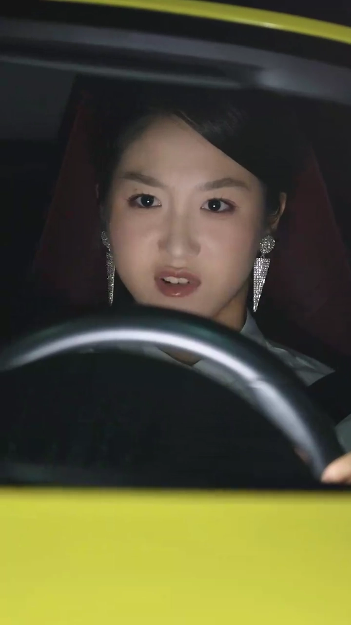 地味着の令嬢は手を出すな写真