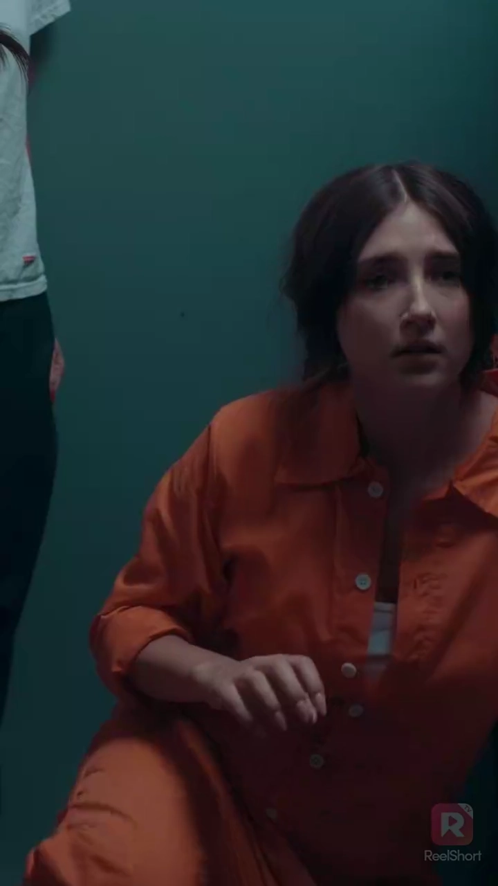 お嬢様には手を出すな写真