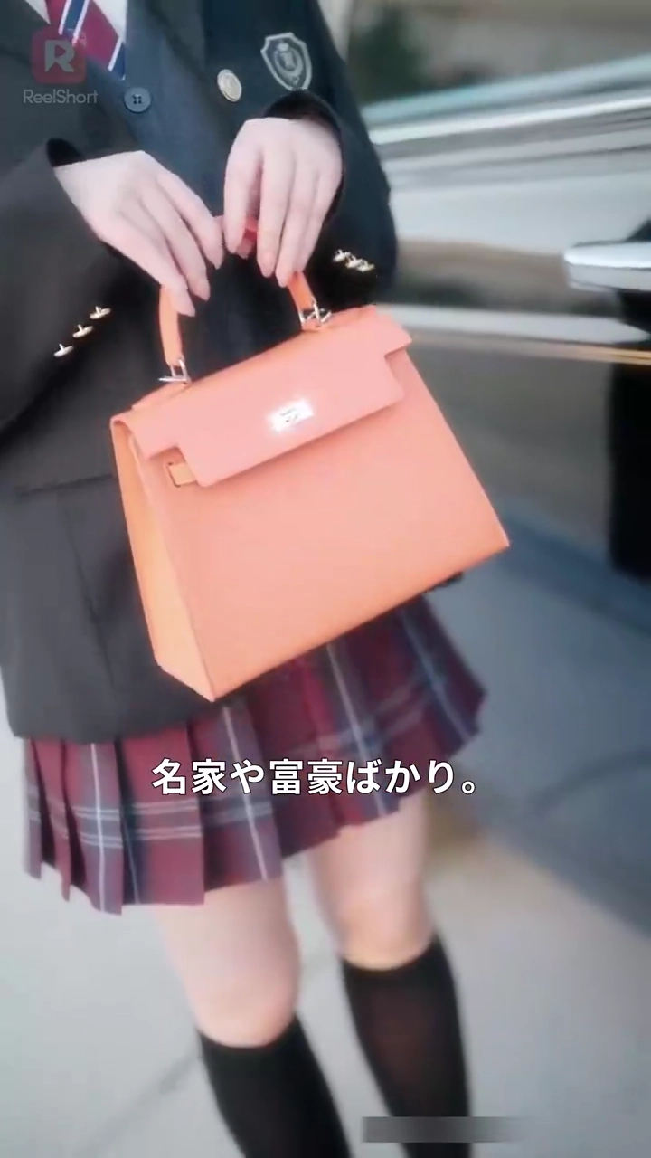 貴族学園の異端児 ～庶民の私が頂点を奪う～写真