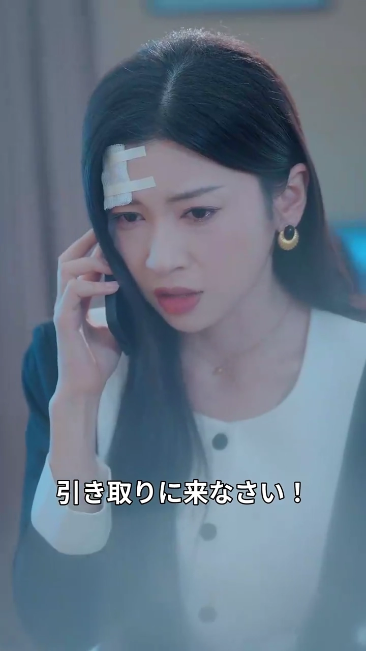 [吹替版] 曦陽の光と迷い写真