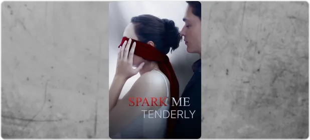 Spark Me Tenderly: A $100,000 Ultimatum That Shatters Every Rule of Romance