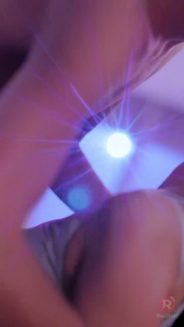 野良犬が牙を剥く時写真