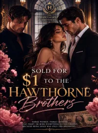 Sold for $1 to the Hawthorne Brothers Novel Cover