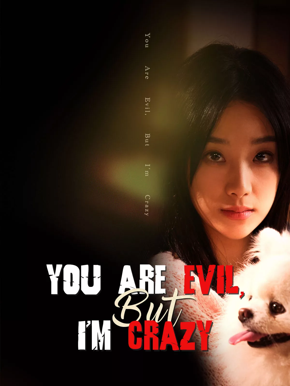 You Are Evil, But I'm Crazy Mini Series