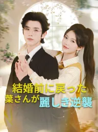 結婚前に戻った葉さんが麗しき逆襲ミニシリーズ