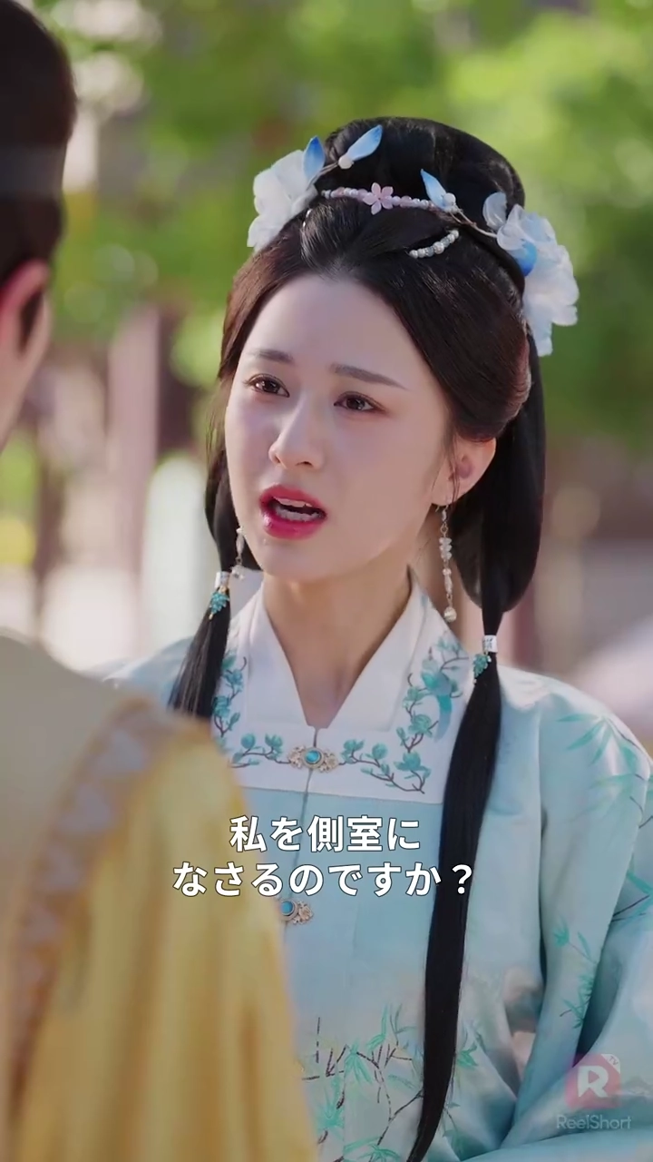 藩王の寵愛一身に、皇太子は涙写真