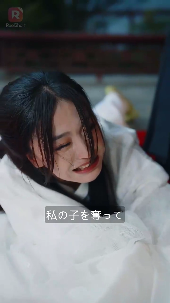 奪嫡～死に戻り奥様の復讐～写真