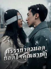 ภรรรยาตาบอด ยอดใจคุณชายกู้มินิซีรีส์