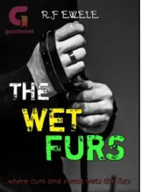 The Wet Furs