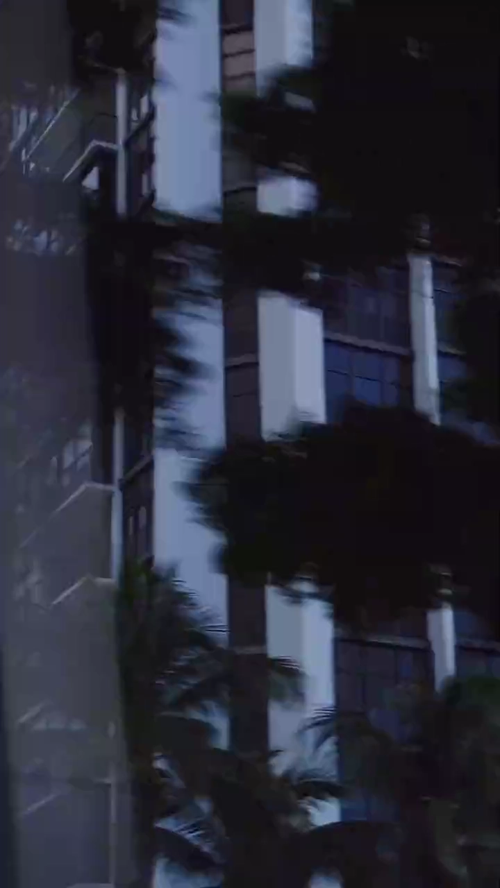 Dirigindo para o AmorFoto