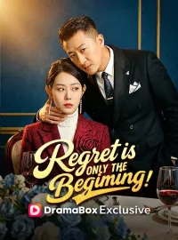 Regret Is Only the Beginning (DUBBED)Mini Series