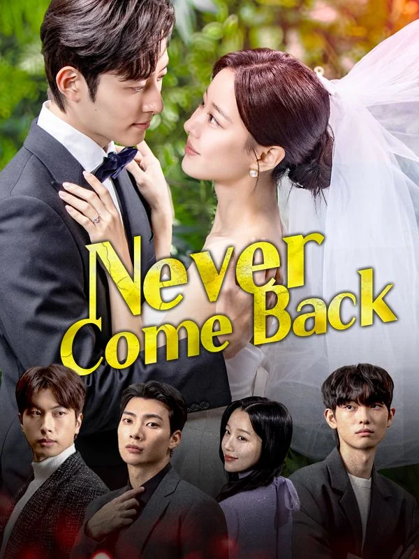 Never Come Back cover art