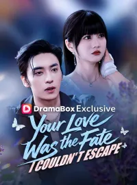 Your Love Was the Fate I Couldn't EscapeShort Dramas