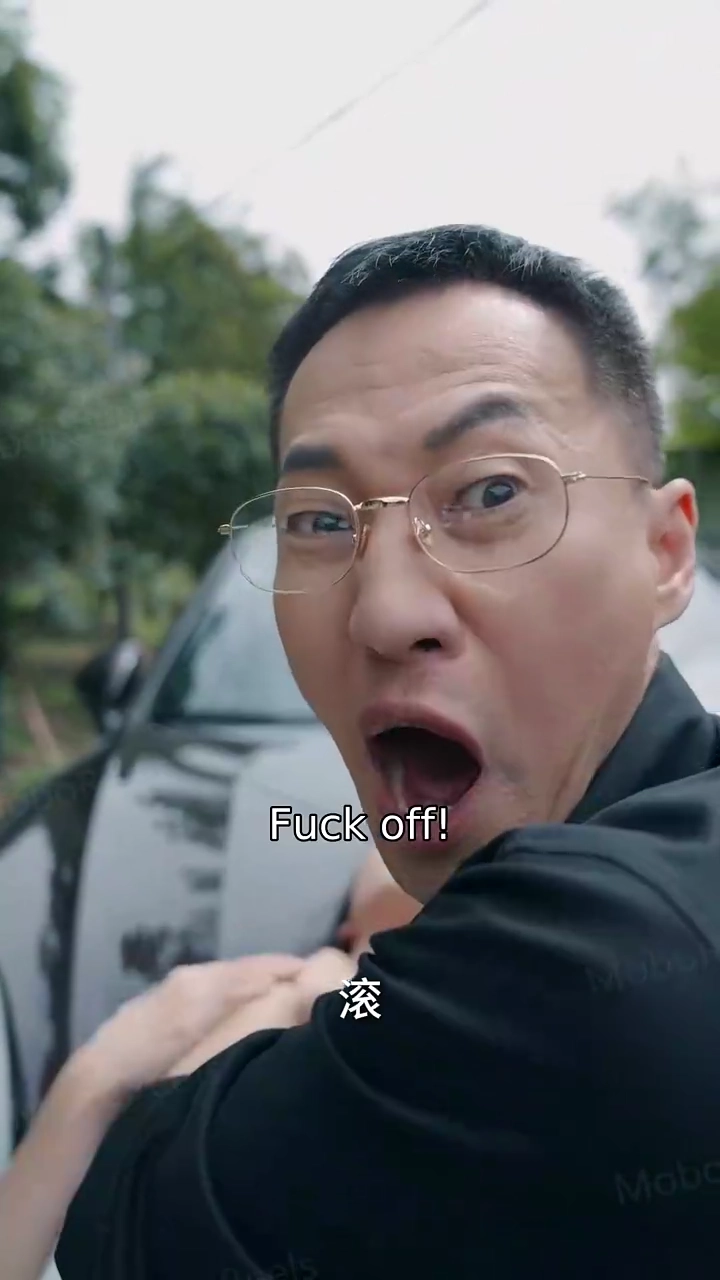 The Revenge Plan of the DisguisedPhoto