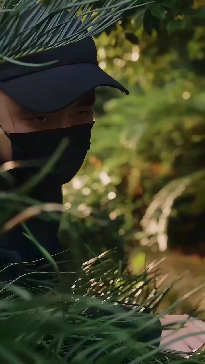 The Veterinarian With a Secret LanguagePhoto