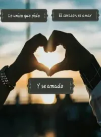 Portada de la novela Lo unico que pide el corazon es amar y ser amado.