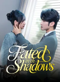 Fated in th ShadowsMini Series