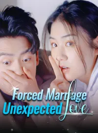 Forced Marriage, Unexpected LoveMini Series