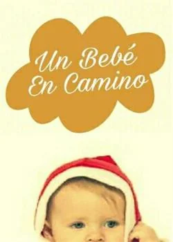 Portada de la novela Un bebe en camino 