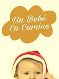 Portada de la novela Un bebe en camino 