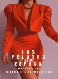 Portada de la novela Las pelotas de mi esposa