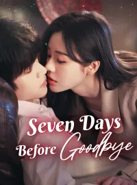 Seven Days Before GoodbyeMini Series