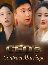 CEO's Contract MarriageMini Series