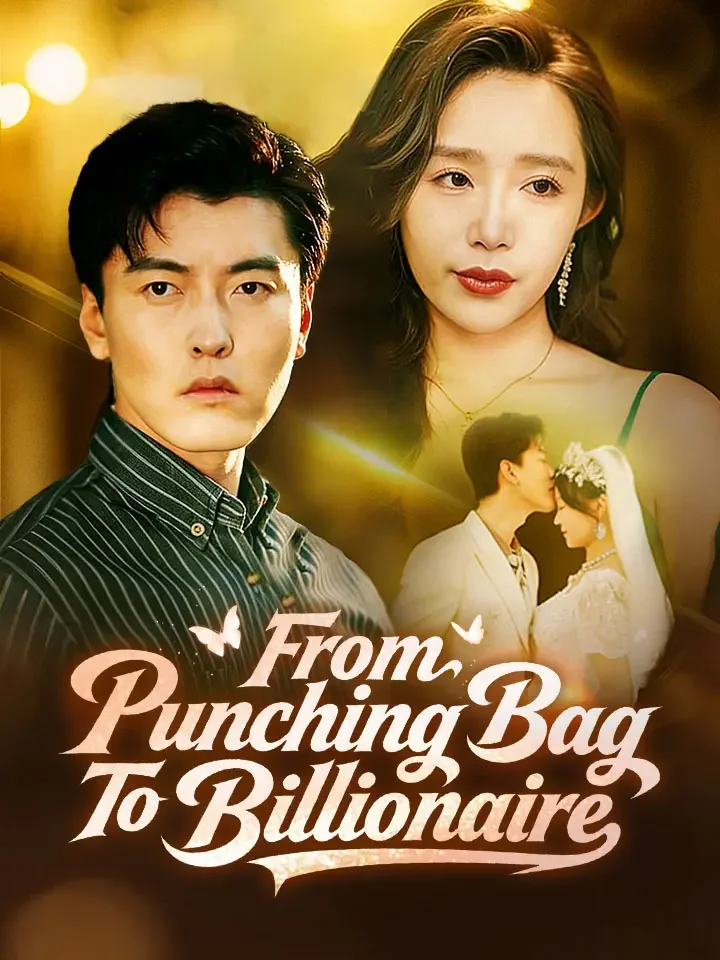 From Punching Bag To BillionaireMini Series