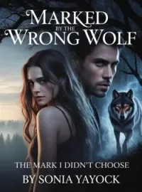 Marked by the Wrong Wolf; The Mark I didn't Choose Novel Cover