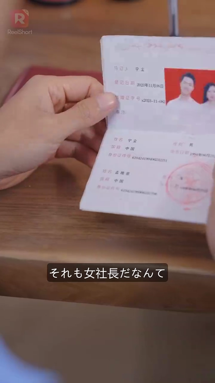 俺の妻は25歳の美人社長写真