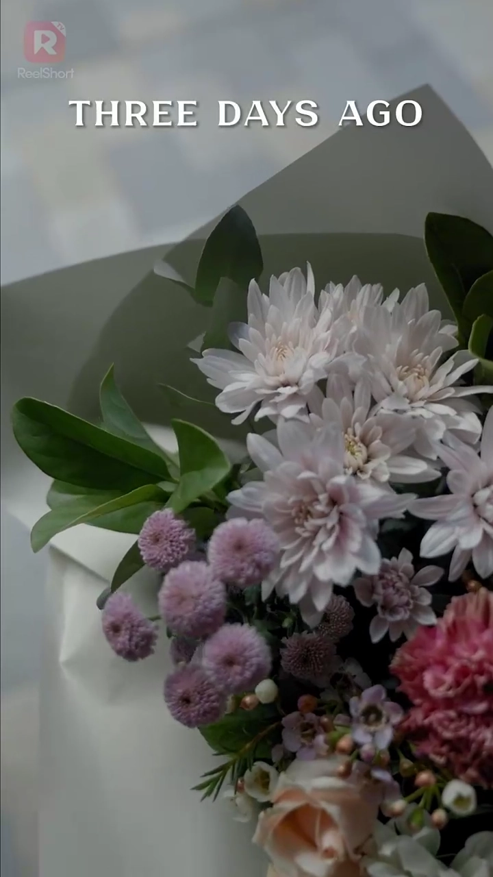 突然の再婚：私の億万長者CEO写真