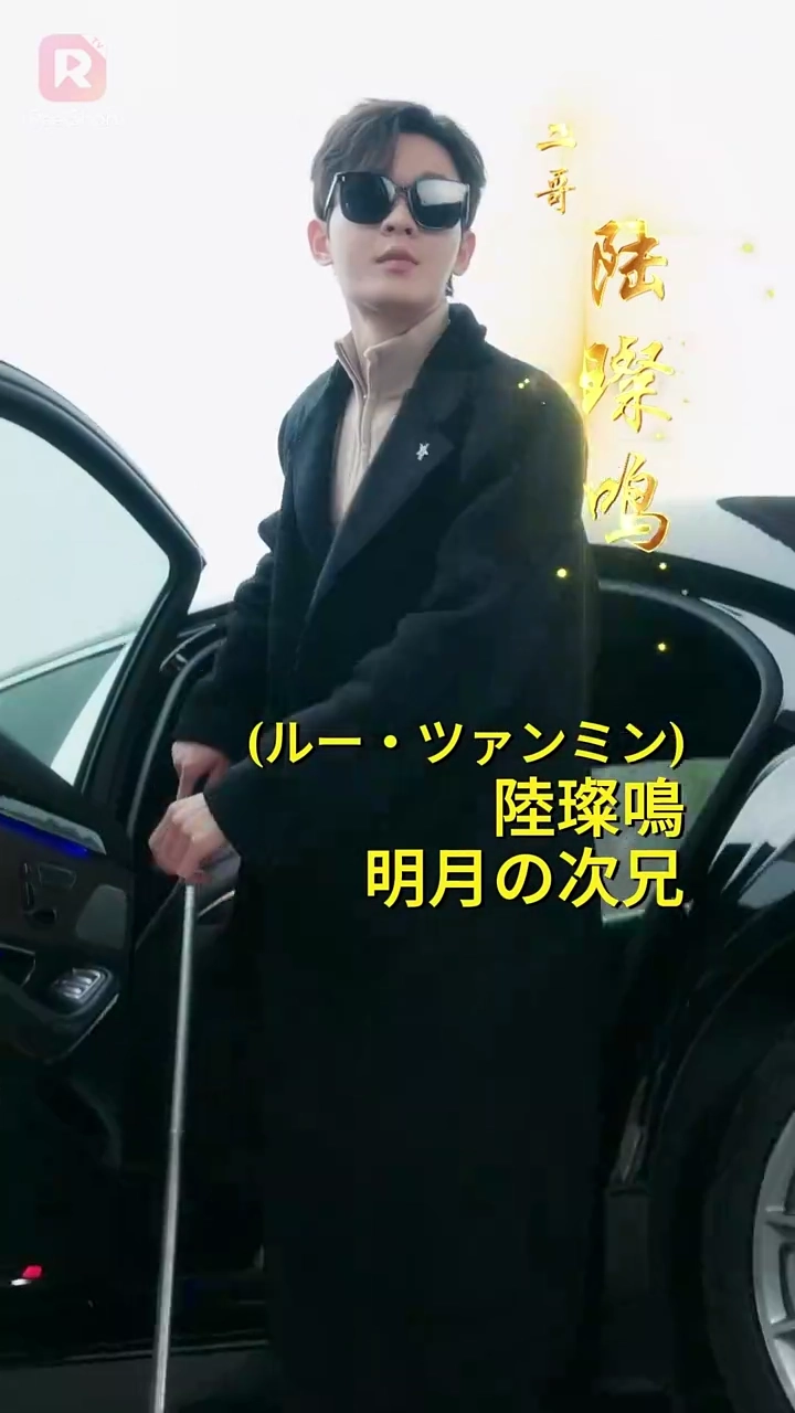 ［吹き替え版］眠り姫の復讐写真