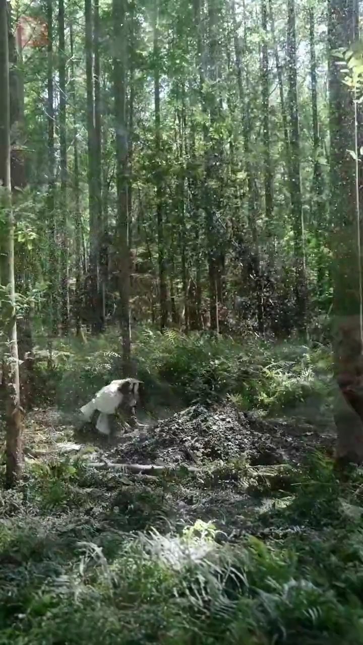 司令官の娘は天才占い師写真