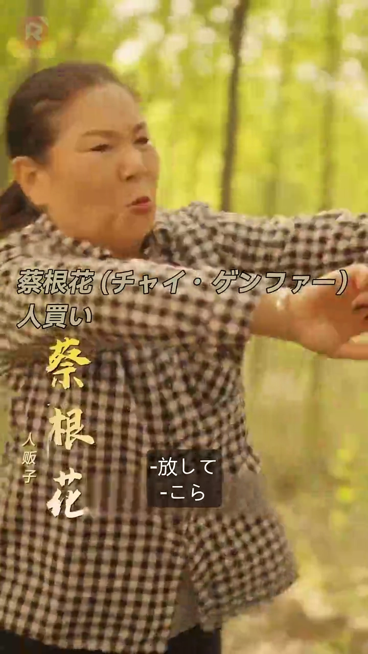 親の恋物語 1993写真