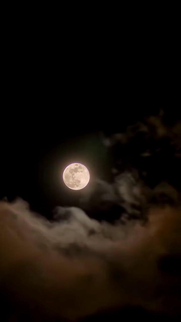 シンデレラのレシピ写真