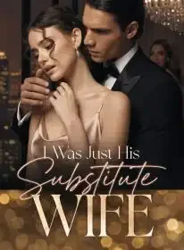I Was Just His Substitute Wife Novel Cover