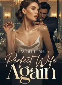 I Won't Be Your Perfect Wife Again Novel Cover
