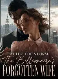 After the Storm The Billionaire's Forgotten Wife Novel Cover