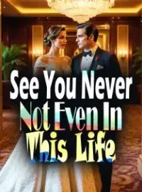See You Never, Not Even In This Life Novel Cover