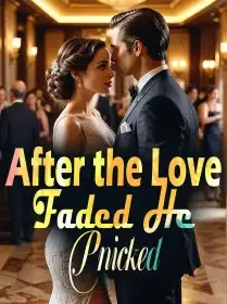After the Love Faded, He Pnicked Novel Cover