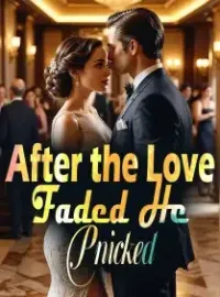 After the Love Faded, He Pnicked Novel Cover