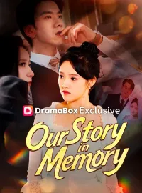 Our Story in MemoryMini Series