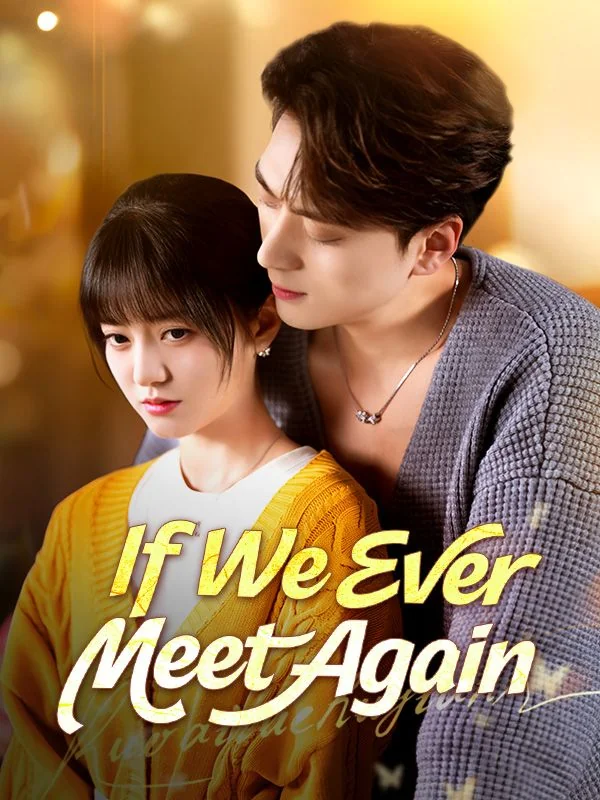 If We Ever Meet Again cover art