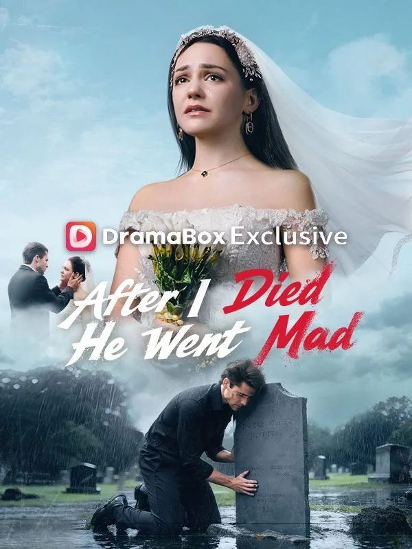 After I Died He Went Mad cover art