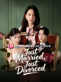 Just Married, Just DivorcedMini Series