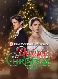 Divorce Is My Best Christmas GiftMini Series