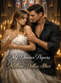 My Divorce Papers at His Million-Dollar Altar Novel Cover