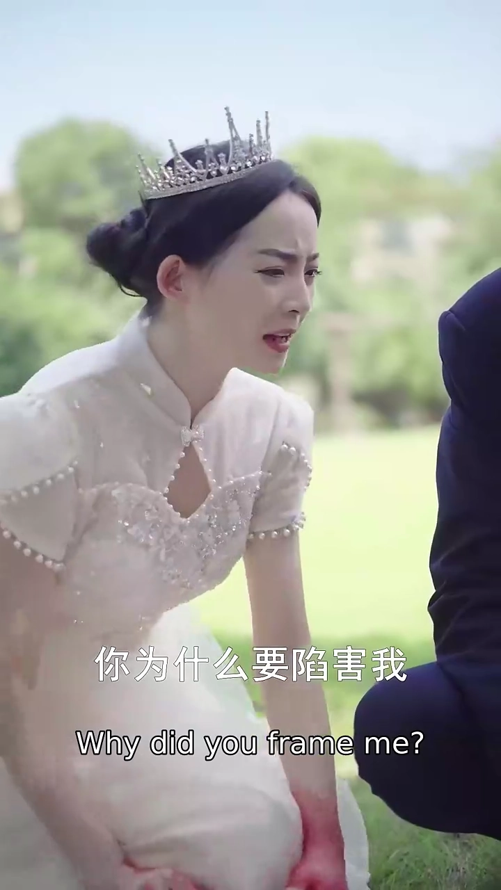 The CEO's Destined Lover Photo