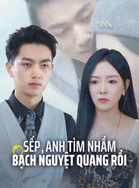 Sếp, Anh Tìm Nhầm Bạch Nguyệt Quang Rồi